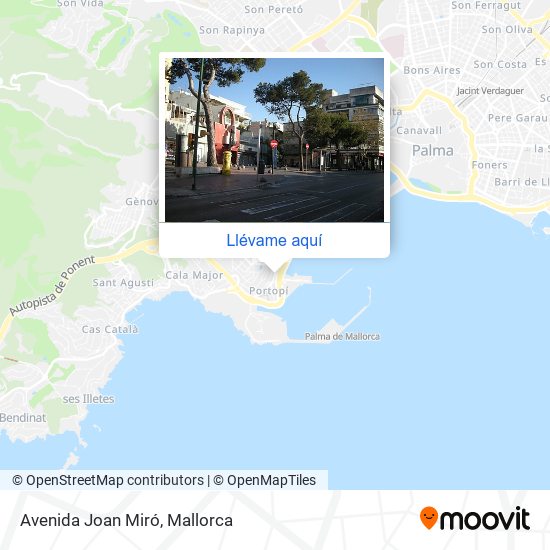 Mapa Avenida Joan Miró