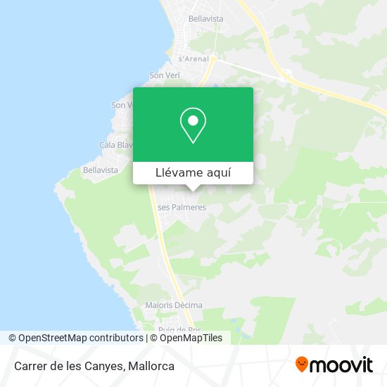 Mapa Carrer de les Canyes