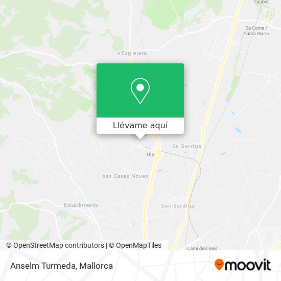 Mapa Anselm Turmeda