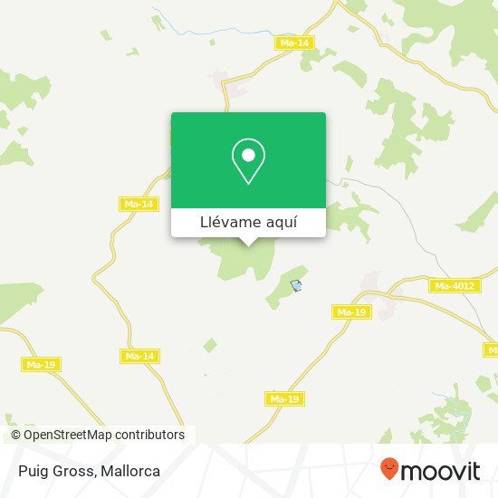 Mapa Puig Gross