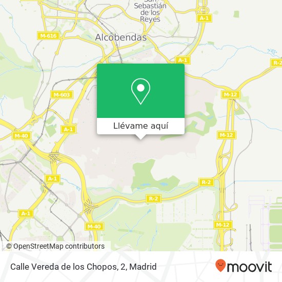 Mapa Calle Vereda de los Chopos, 2
