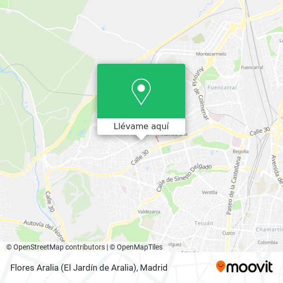 Mapa Flores Aralia (El Jardín de Aralia)
