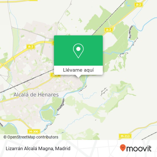 Mapa Lizarrán Alcalá Magna