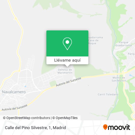 Mapa Calle del Pino Silvestre, 1