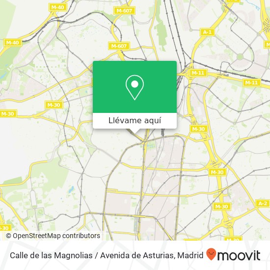 Mapa Calle de las Magnolias / Avenida de Asturias