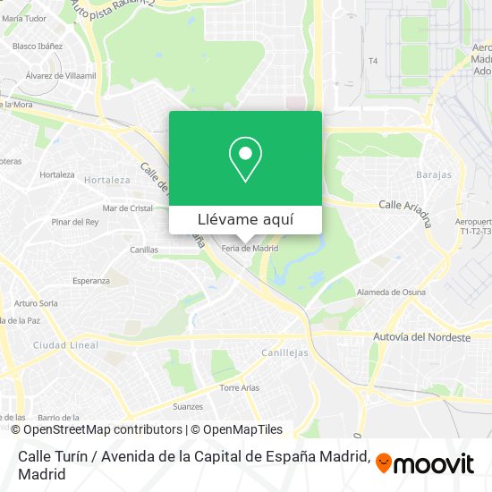 Mapa Calle Turín / Avenida de la Capital de España Madrid