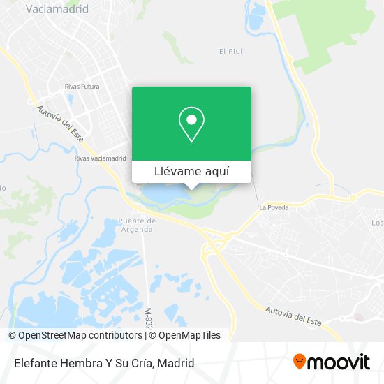 Mapa Elefante Hembra Y Su Cría