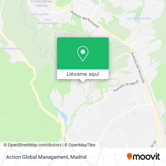 Mapa Action Global Management