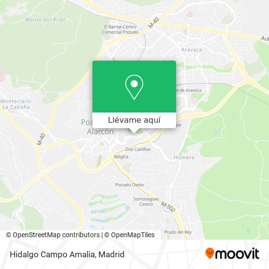 Mapa Hidalgo Campo Amalia