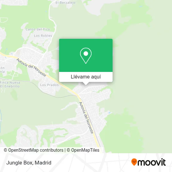 Mapa Jungle Box