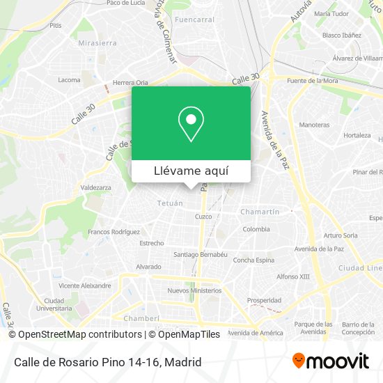 Mapa Calle de Rosario Pino 14-16