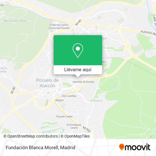 Mapa Fundación Blanca Morell