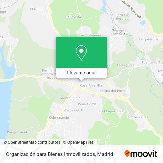 Mapa Organización para Bienes Inmovilizados