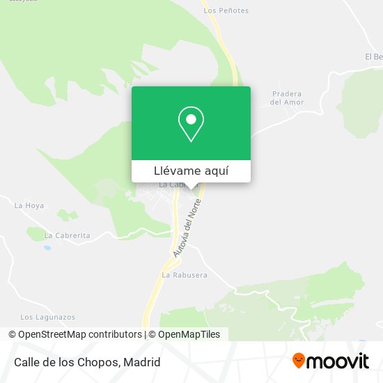 Mapa Calle de los Chopos