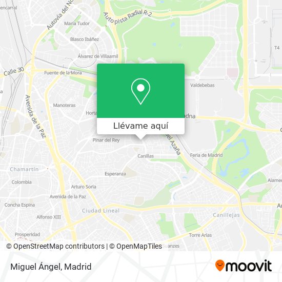 Mapa Miguel Ángel