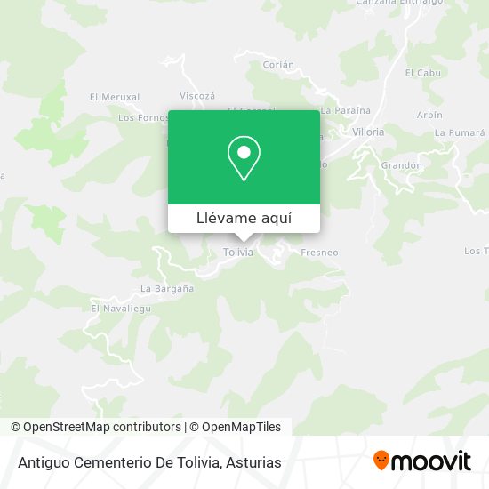 Mapa Antiguo Cementerio De Tolivia