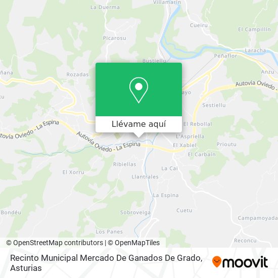 Mapa Recinto Municipal Mercado De Ganados De Grado