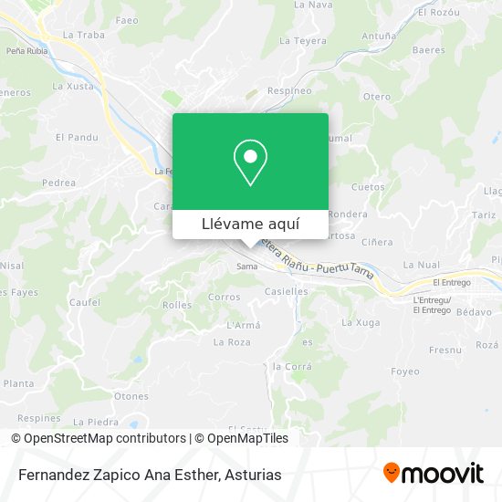 Mapa Fernandez Zapico Ana Esther