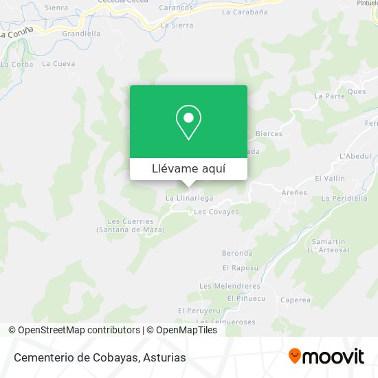 Mapa Cementerio de Cobayas