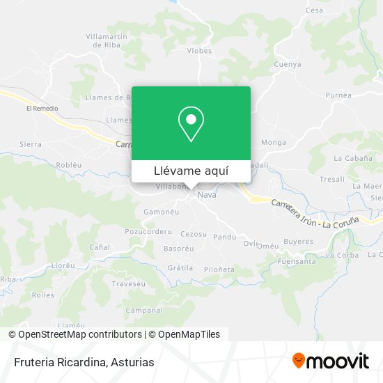 Mapa Fruteria Ricardina