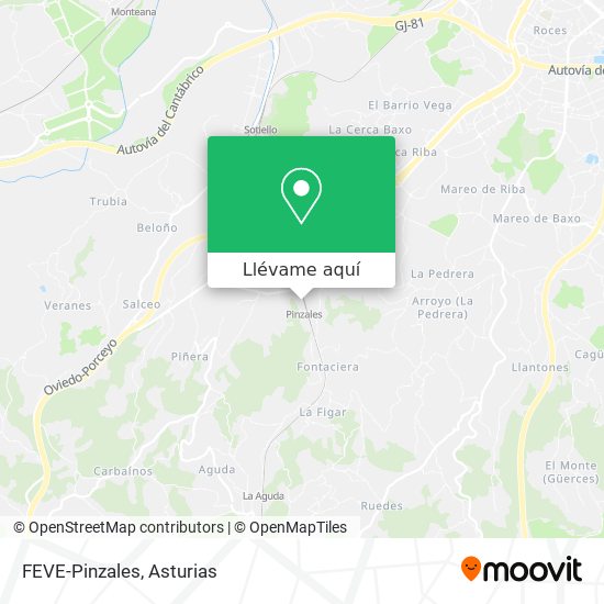 Mapa FEVE-Pinzales