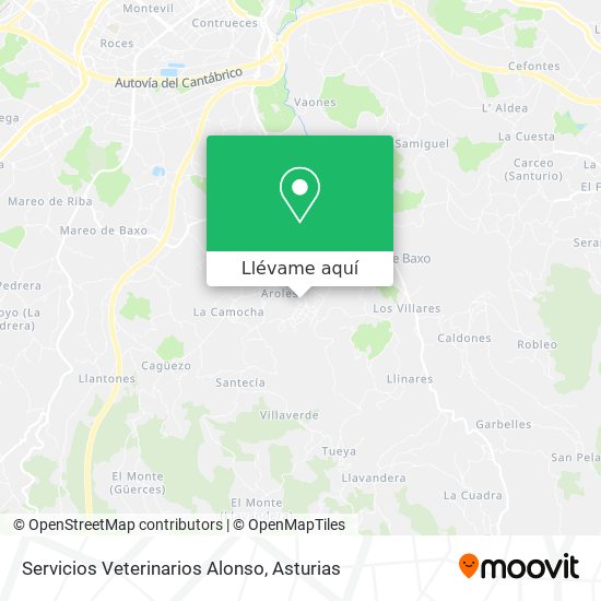 Mapa Servicios Veterinarios Alonso
