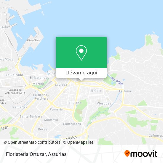 Mapa Floristeria Ortuzar