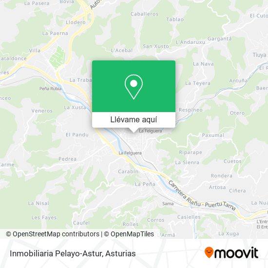 Mapa Inmobiliaria Pelayo-Astur