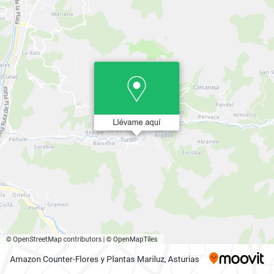 Mapa Amazon Counter-Flores y Plantas Mariluz