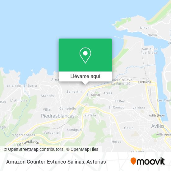 Mapa Amazon Counter-Estanco Salinas