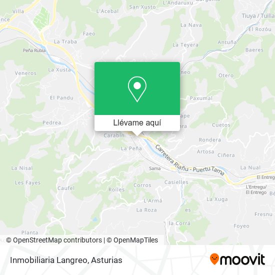 Mapa Inmobiliaria Langreo