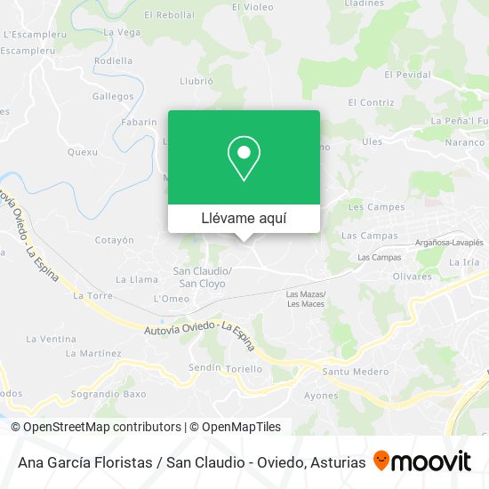 Mapa Ana García Floristas / San Claudio - Oviedo