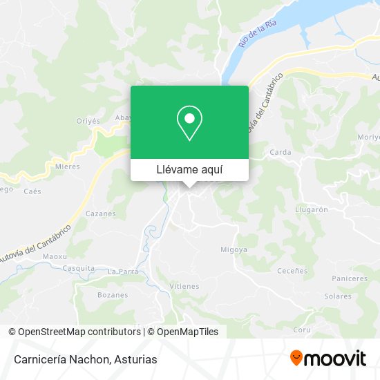 Mapa Carnicería Nachon