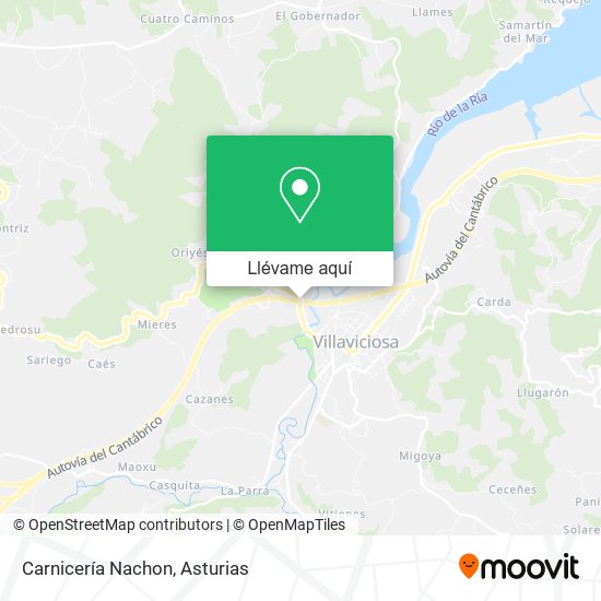 Mapa Carnicería Nachon