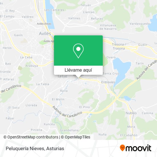 Mapa Peluquería Nieves