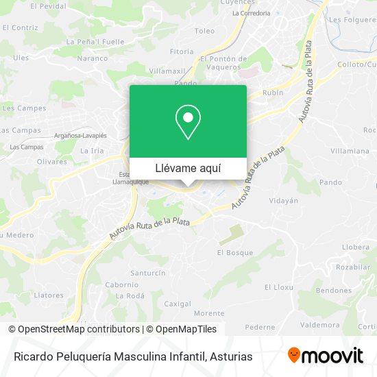 Mapa Ricardo Peluquería Masculina Infantil