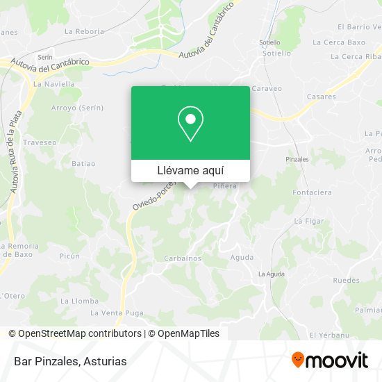 Mapa Bar Pinzales