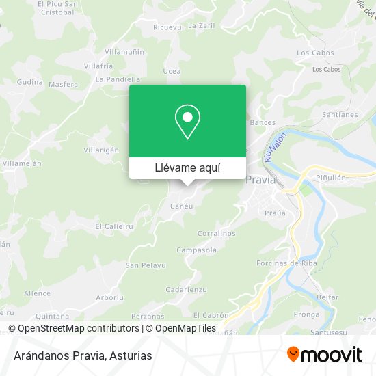 Mapa Arándanos Pravia