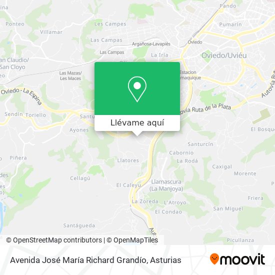 Mapa Avenida José María Richard Grandío