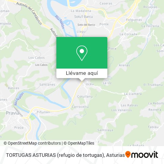 Mapa TORTUGAS ASTURIAS (refugio de tortugas)