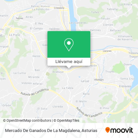 Mapa Mercado De Ganados De La Magdalena