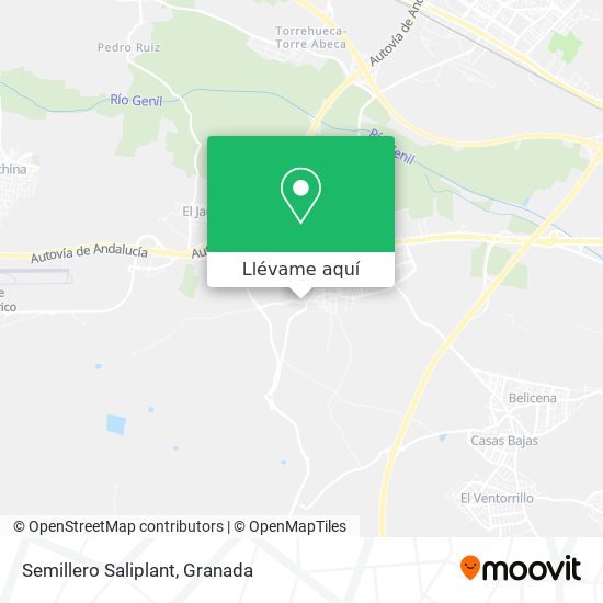 Mapa Semillero Saliplant