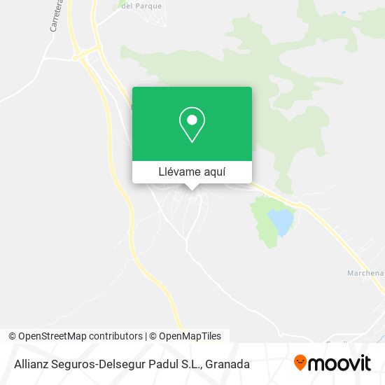 Mapa Allianz Seguros-Delsegur Padul S.L.