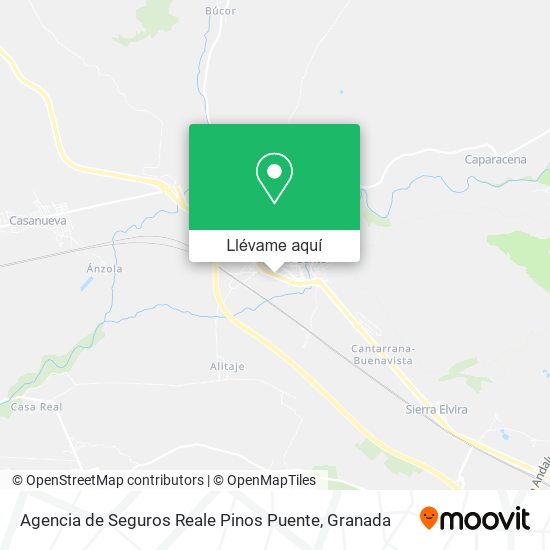 Mapa Agencia de Seguros Reale Pinos Puente