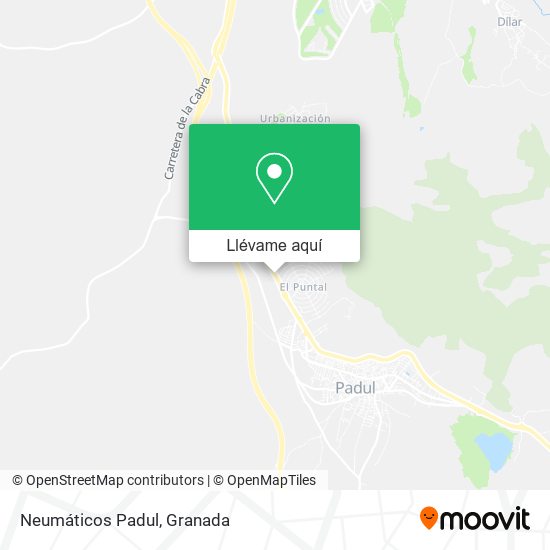 Mapa Neumáticos Padul