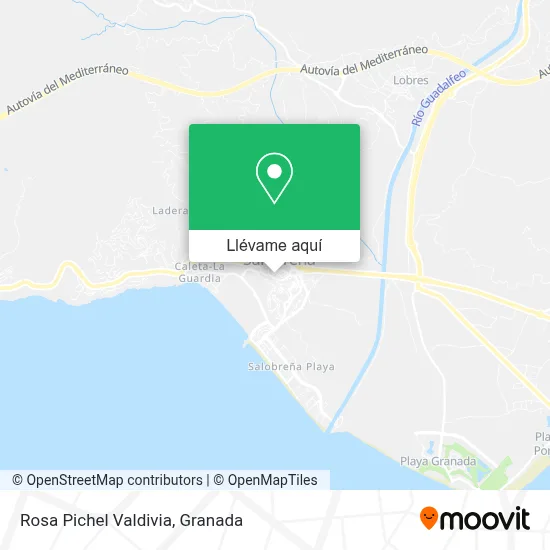 Mapa Rosa Pichel Valdivia