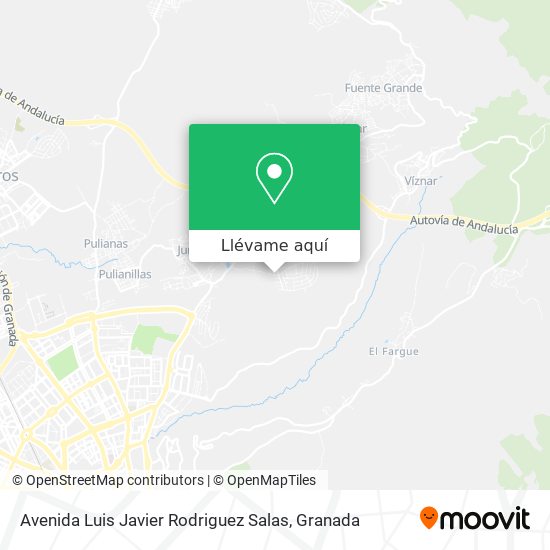 Mapa Avenida Luis Javier Rodriguez Salas
