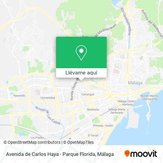 Mapa Avenida de Carlos Haya - Parque Florida