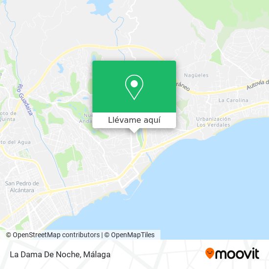 Mapa La Dama De Noche