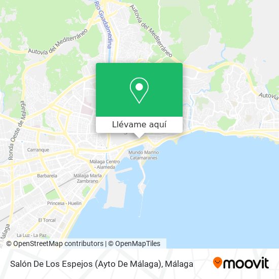Mapa Salón De Los Espejos (Ayto De Málaga)